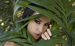 Bella donna sexy che si nasconde dietro le foglie di palma Bella st fotografie stock libere da diritti Bella donna sexy che si nasconde dietro le foglie di palma Bella st fotografie stock libere da diritti