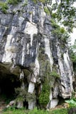 Bella entrata naturale della caverna del calcare in Malesia Collina e caverna del calcare Collina arrotondata coperta e drammatic fotografia stock libera da diritti Bella entrata naturale della caverna del calcare in Malesia Collina e caverna del calcare Collina arrotondata coperta e drammatic fotografia stock libera da diritti