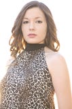 Bella giovane donna nella parte superiore della stampa del leopardo immagine stock libera da diritti Bella giovane donna nella parte superiore della stampa del leopardo immagine stock libera da diritti