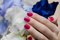 Bella mano femminile con progettazione rosa del chiodo immagini stock Bella mano femminile con progettazione rosa del chiodo immagini stock