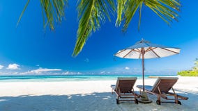 Bella spiaggia con le palme ed il cielo lunatico Concetto del fondo di festa di viaggio di vacanze estive immagine stock Bella spiaggia con le palme ed il cielo lunatico Concetto del fondo di festa di viaggio di vacanze estive immagine stock