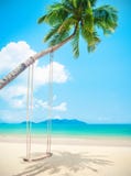 Bella spiaggia tropicale dell'isola con gli alberi e l'oscillazione del cocco fotografia stock libera da diritti Bella spiaggia tropicale dell'isola con gli alberi e l'oscillazione del cocco fotografia stock libera da diritti