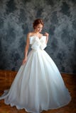 Bella sposa in vestito da sposa, bello trucco e disegnare fotografie stock Bella sposa in vestito da sposa, bello trucco e disegnare fotografie stock