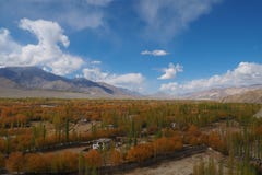 Bella stagione invernale in Leh Ladakh, l'India fotografie stock libere da diritti Bella stagione invernale in Leh Ladakh, l'India fotografie stock libere da diritti
