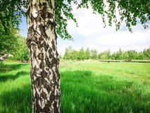 bella vista dal parco immagine stock libera da diritti bella vista dal parco immagine stock libera da diritti