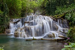 Belle cascade ? ?criture ligne par ligne au milieu de la for?t image stock Belle cascade ? ?criture ligne par ligne au milieu de la for?t image stock