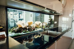 Belle cuisine moderne décorée d'un grand aquarium transparent photo libre de droits Belle cuisine moderne décorée d'un grand aquarium transparent photo libre de droits