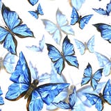 Belle farfalle blu dell'acquerello di estate sulla a illustrazione di stock Belle farfalle blu dell'acquerello di estate sulla a illustrazione di stock