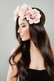 Belle femme avec la longue coiffure saine photo libre de droits Belle femme avec la longue coiffure saine photo libre de droits