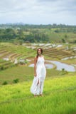 Belle femme bronzée dans la longue robe blanche souriant et posant dans la perspective des gisements de riz photos stock Belle femme bronzée dans la longue robe blanche souriant et posant dans la perspective des gisements de riz photos stock