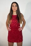 Belle femme de visage de brune de fille d'élégance de sensualité Pose d'I photographie stock Belle femme de visage de brune de fille d'élégance de sensualité Pose d'I photographie stock