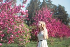 Belle fille dans le jardin de floraison de ressort Photos stock Belle fille dans le jardin de floraison de ressort Photos stock