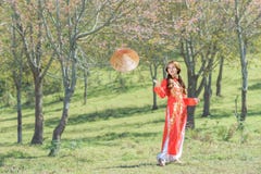 Belle fille vietnamienne image stock Belle fille vietnamienne image stock