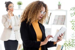 Belle jeune femme d'affaires à l'aide de son comprimé numérique dans le bureau Images stock Belle jeune femme d'affaires à l'aide de son comprimé numérique dans le bureau Images stock