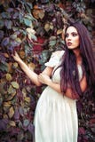 Belle jeune fille dans la robe blanche se tenant parmi les feuilles colorées Image stock Belle jeune fille dans la robe blanche se tenant parmi les feuilles colorées Image stock