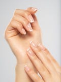 Belle mani femminili Mani con il bello manicure francese, unghie della donna fotografia stock libera da diritti Belle mani femminili Mani con il bello manicure francese, unghie della donna fotografia stock libera da diritti