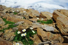 belle nature, paysage de montagne photographie stock libre de droits belle nature, paysage de montagne photographie stock libre de droits