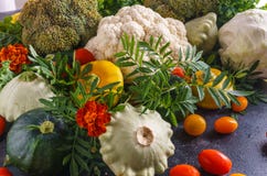 Belle photo des légumes courge, chou-fleur, tomates-cerises et texture naturelle de brocoli des légumes image stock Belle photo des légumes courge, chou-fleur, tomates-cerises et texture naturelle de brocoli des légumes image stock