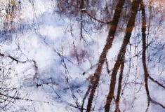 Belle réflexion des branches d'arbre dans l'eau en premier ressort en parc Fond abstrait d'aquarelle dans des tons lilas-bleus Photographie stock libre de droits Belle réflexion des branches d'arbre dans l'eau en premier ressort en parc Fond abstrait d'aquarelle dans des tons lilas-bleus Photographie stock libre de droits