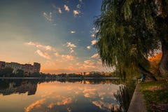 Belle scène de matin un jour nuageux en parc avec un certain fishe photo stock Belle scène de matin un jour nuageux en parc avec un certain fishe photo stock