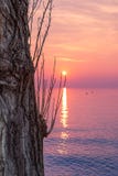 Belle vue multicolore de coucher du soleil sur le policier de lac Dans le premier plan est un tronc d'arbre texturisé l'Italie photos libres de droits Belle vue multicolore de coucher du soleil sur le policier de lac Dans le premier plan est un tronc d'arbre texturisé l'Italie photos libres de droits