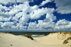 Belles dunes baltiques Région de Kaliningrad, Russie images stock Belles dunes baltiques Région de Kaliningrad, Russie images stock
