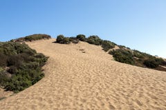 Belles dunes de sable dans le domaine dunaire de Concon, Chili, Am?rique du Sud photo libre de droits Belles dunes de sable dans le domaine dunaire de Concon, Chili, Am?rique du Sud photo libre de droits