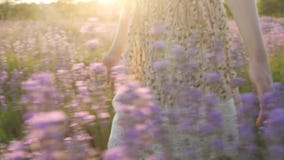 Belleza y salud del concepto Niña de la mano de la parte del cuerpo del primer el vestido del verano camina a través del campo de almacen de metraje de vídeo Belleza y salud del concepto Niña de la mano de la parte del cuerpo del primer el vestido del verano camina a través del campo de almacen de metraje de vídeo