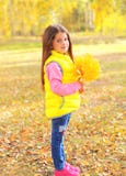 Bello bambino della bambina del ritratto con le foglie di acero gialle in autunno immagine stock Bello bambino della bambina del ritratto con le foglie di acero gialle in autunno immagine stock