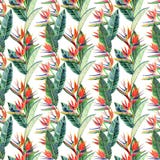 Bello modello multicolore sveglio adorabile tropicale di erbe floreale verde luminoso di estate dell'Hawai dell'fiori gialli trop illustrazione vettoriale Bello modello multicolore sveglio adorabile tropicale di erbe floreale verde luminoso di estate dell'Hawai dell'fiori gialli trop illustrazione vettoriale