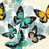 Bello modello senza cuciture di vettore con le farfalle illustrazione vettoriale Bello modello senza cuciture di vettore con le farfalle illustrazione vettoriale