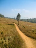 Bello Mountain View e tempo caldo al parco nazionale di Khao Yai immagine stock libera da diritti Bello Mountain View e tempo caldo al parco nazionale di Khao Yai immagine stock libera da diritti