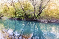 Bello paesaggio pittoresco di autunno del fiume nella montagna Fotografia Stock Bello paesaggio pittoresco di autunno del fiume nella montagna Fotografia Stock
