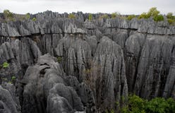 bemaraha de tsingy Типичный ландшафт Мадагаскар Стоковое Фото bemaraha de tsingy Типичный ландшафт Мадагаскар Стоковое Фото