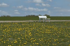 Bench in the Field Stock Image Bench in the Field Stock Image