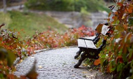 A bench on a path in an autumn park Royalty Free Stock Photography A bench on a path in an autumn park Royalty Free Stock Photography