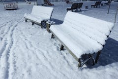 Benches on night street in park at winter royalty free stock images Benches on night street in park at winter royalty free stock images