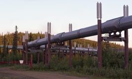 Bend in the Alaskan Pipeline in the predawn of the solstice royalty free stock photos Bend in the Alaskan Pipeline in the predawn of the solstice royalty free stock photos