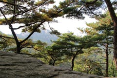 Berg av Seoul arkivfoton Berg av Seoul arkivfoton