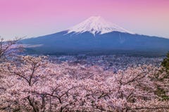 Berg Fuji in de lente, Kersenbloesem Sakura stock foto Berg Fuji in de lente, Kersenbloesem Sakura stock foto