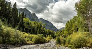 Bergmening in Colorado met een rivier royalty-vrije stock fotografie Bergmening in Colorado met een rivier royalty-vrije stock fotografie