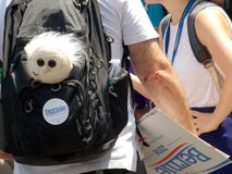 Bernie Sanders Supporter mit Bernie Doll und Zeichen stockfoto Bernie Sanders Supporter mit Bernie Doll und Zeichen stockfoto