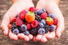 Berries in hands