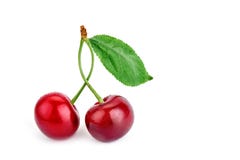 Berries ripe cherry on a white background. Stock Photography Berries ripe cherry on a white background. Stock Photography