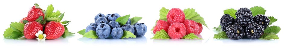 Berries strawberries collection blueberries berry fruits in a row isolated on white royalty free stock image Berries strawberries collection blueberries berry fruits in a row isolated on white royalty free stock image