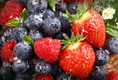 Berry background with water droplets stock photography Berry background with water droplets stock photography