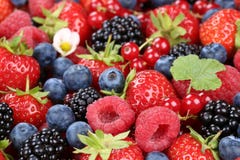 Berry fruits mix with strawberries, blueberries and cherries stock image Berry fruits mix with strawberries, blueberries and cherries stock image