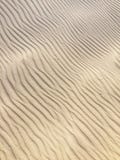 Beschaffenheit des Sandes stockbild Beschaffenheit des Sandes stockbild