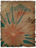 Beschaffenheit grunge Blumenhintergrund mit Feld Lizenzfreie Stockbilder Beschaffenheit grunge Blumenhintergrund mit Feld Lizenzfreie Stockbilder