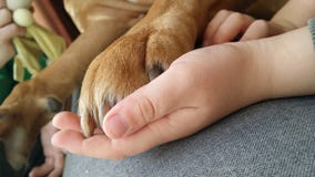 Best friends stock image Best friends stock image